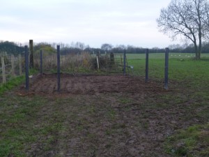 Holding Pen
