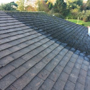 Roof Cleaning and Property Maintenance in Wellingborough