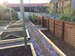 Another few of the renewed fencing and the raised beds.